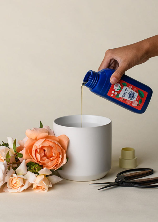 chrysal flower food for potted plants Chrysal Cut Flower Rose Food Boost – 250 ml