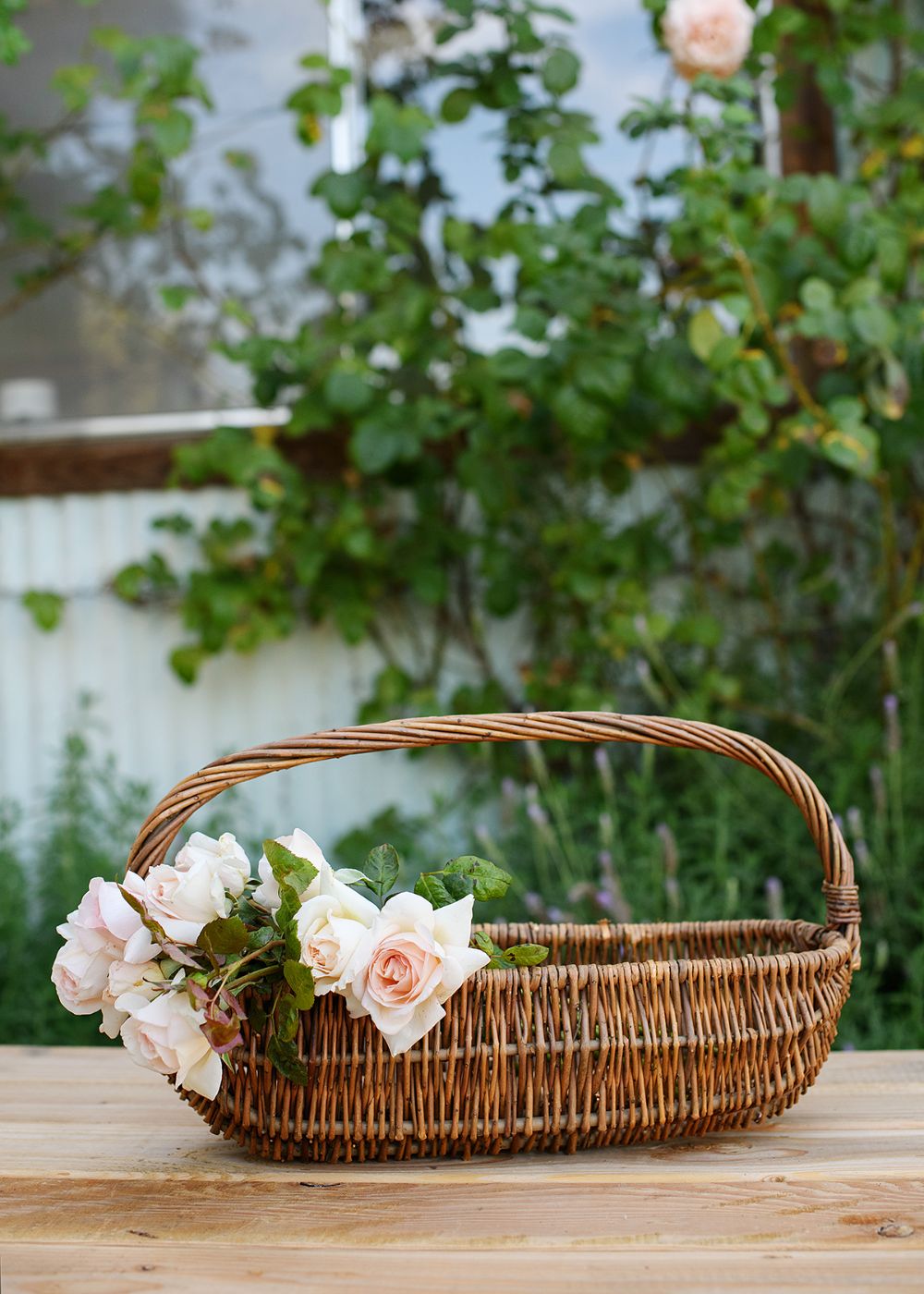Wicker Garden Harvest Basket Oval - Menagerie Farm & Flower