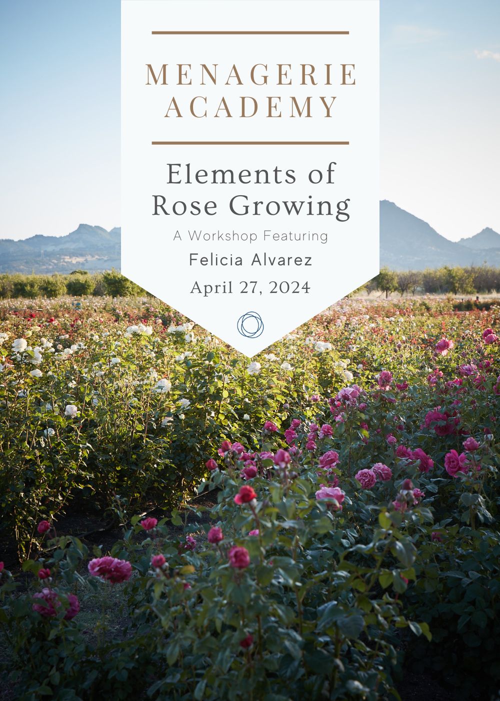 Elements Of Garden Rose Growing Workshop | April 27, 2024 - Menagerie Farm &amp; Flower