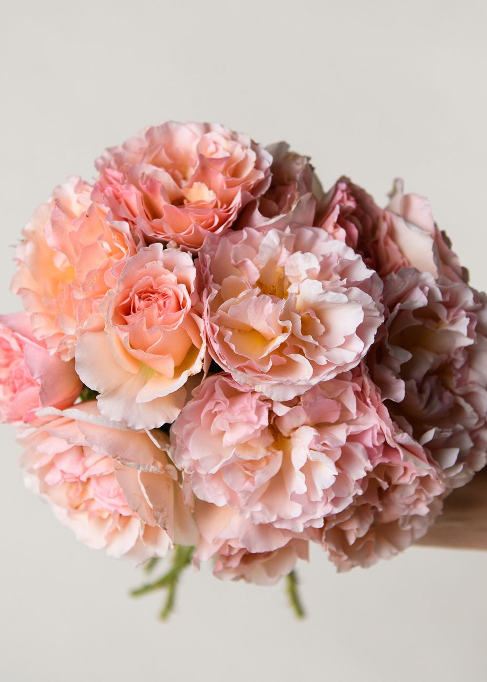 Pretty In Pink Garden Rose Bouquet - Menagerie Farm &amp; Flower