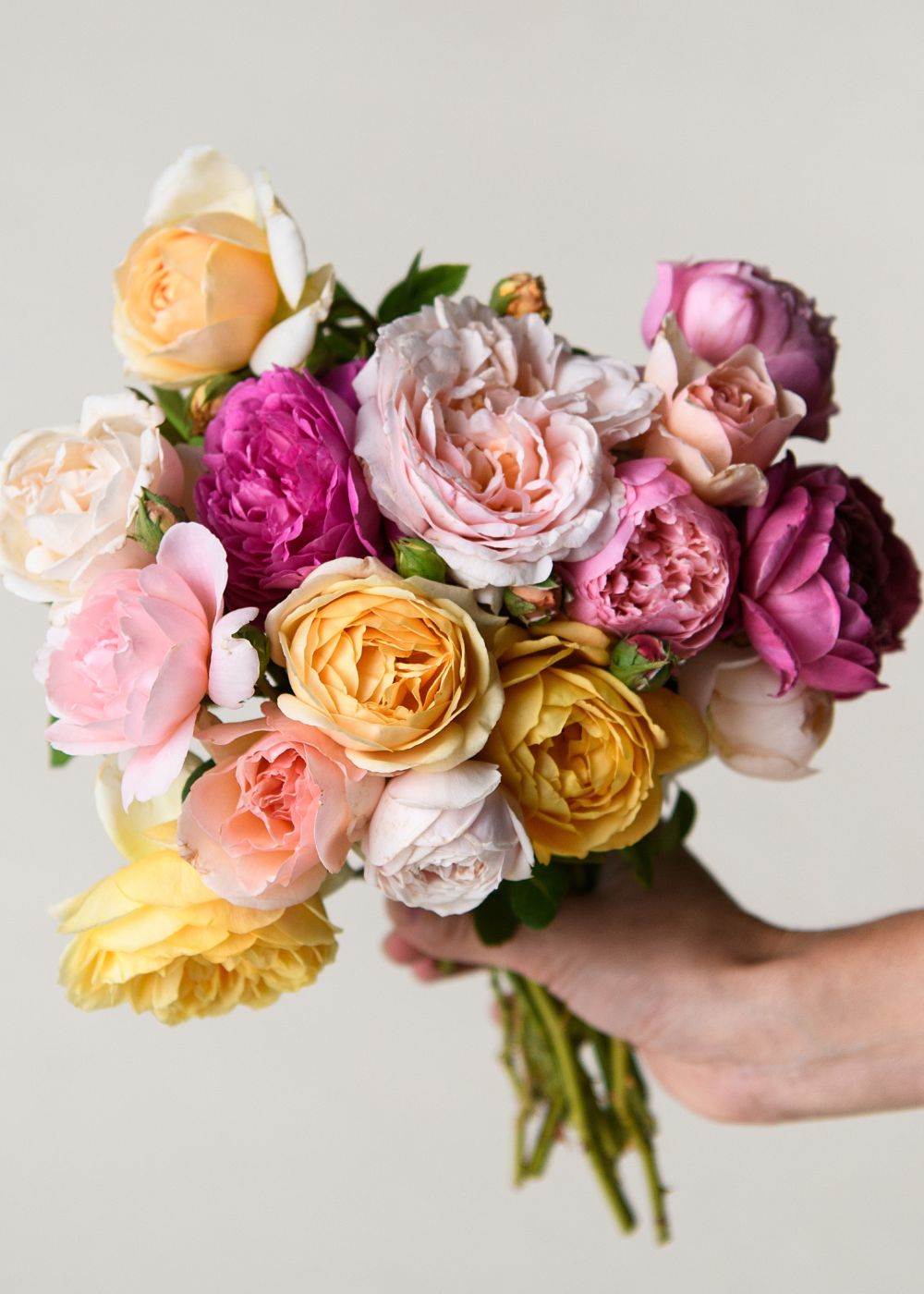The Classic Garden Rose Bouquet Collection - Menagerie Farm &amp; Flower
