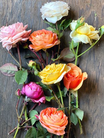 David Austin Rose Soap Flower/ Home Decor/ Flower Arrangement