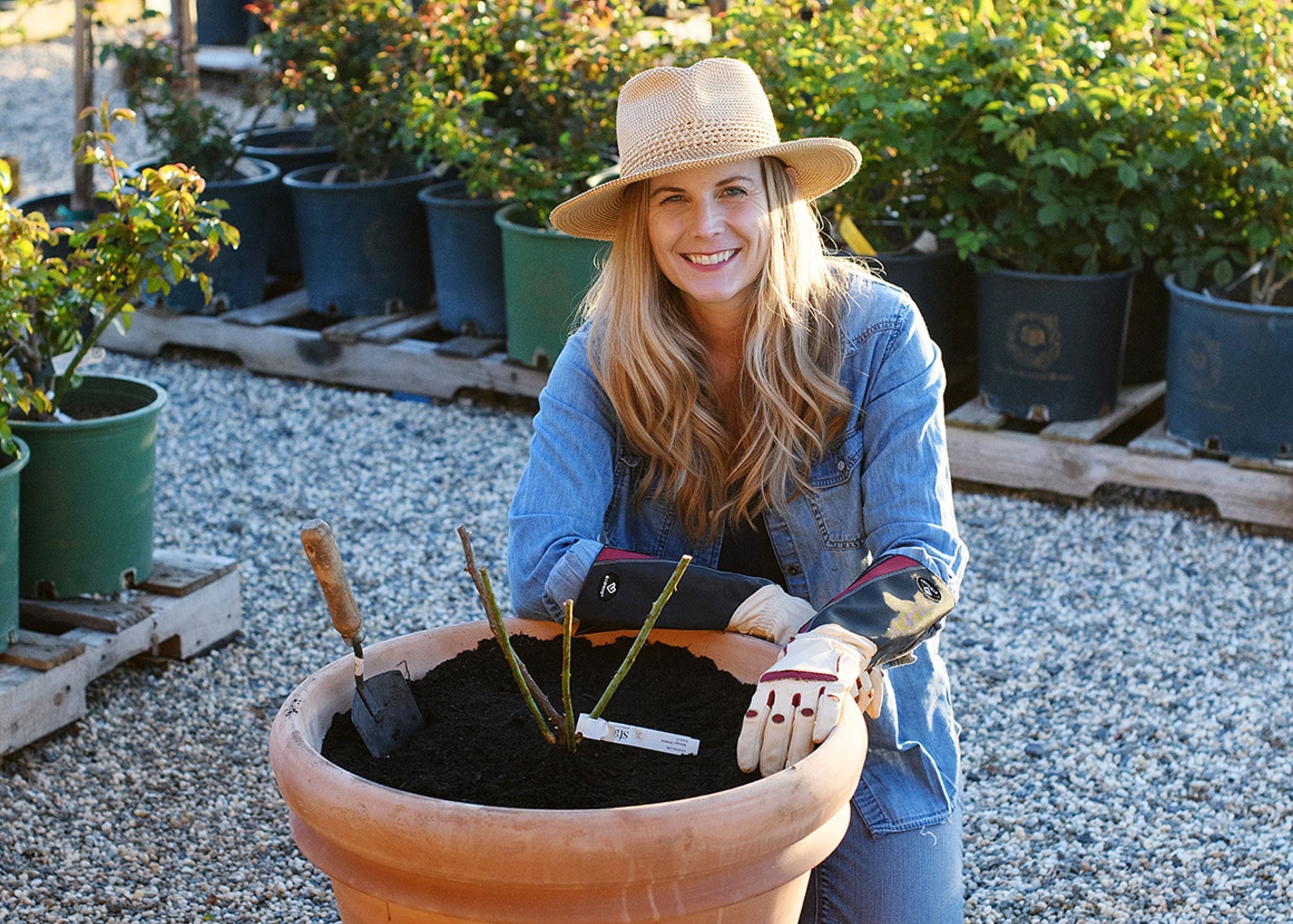 Step-by-Step Guide: How to Plant Bare Root Roses in Pots