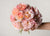 Felicia's Favorite Light Pink Garden Rose Varieties - Menagerie Farm & Flower