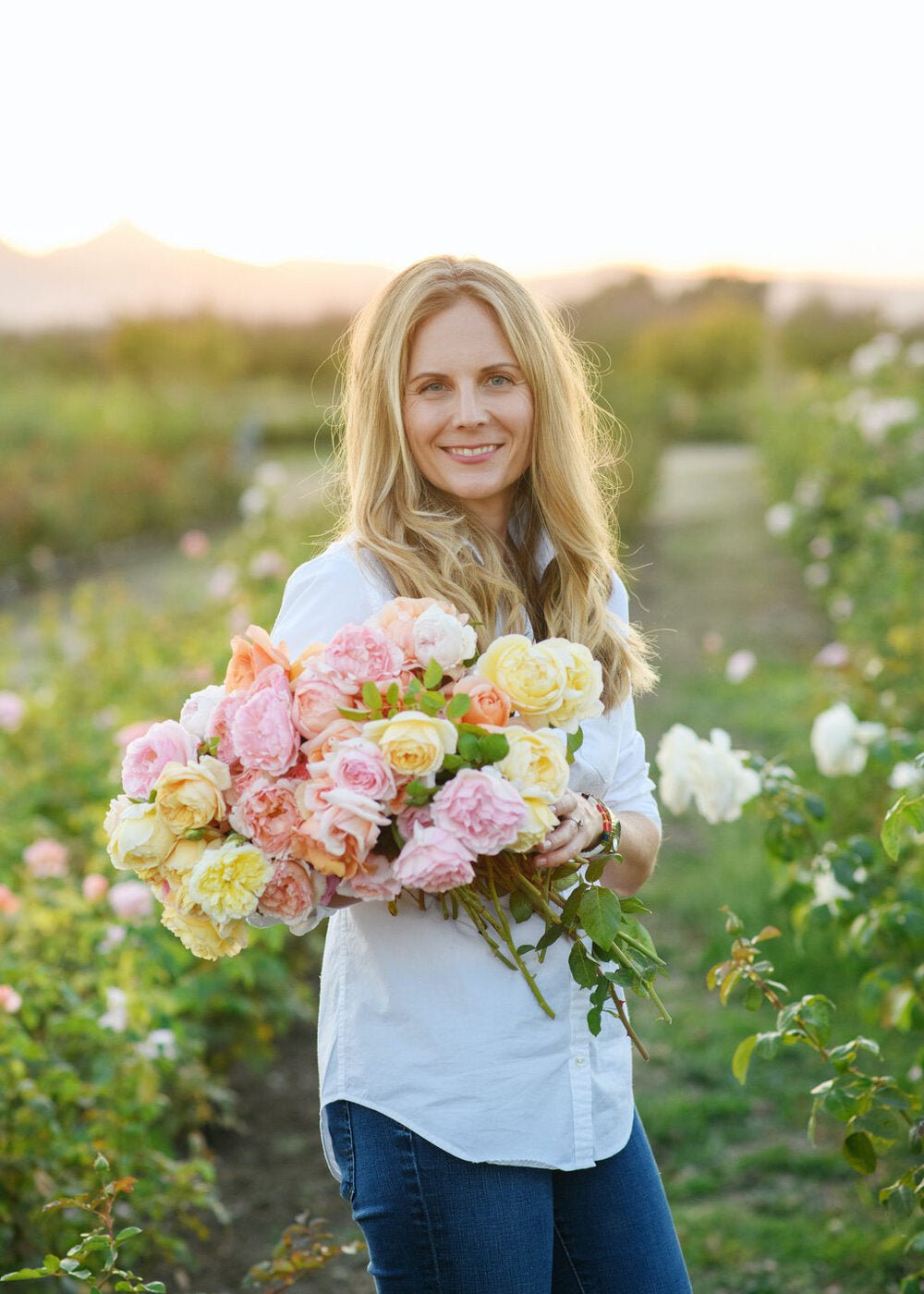 How to Grow Garden Roses - Menagerie Farm & Flower