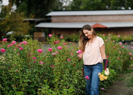 News Vol 14: How To Plan A Rose Garden - Menagerie Farm & Flower