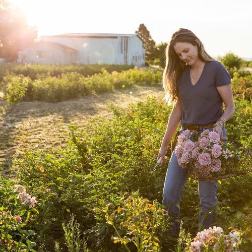 Rose Growing Tools for Beginners - Menagerie Farm & Flower