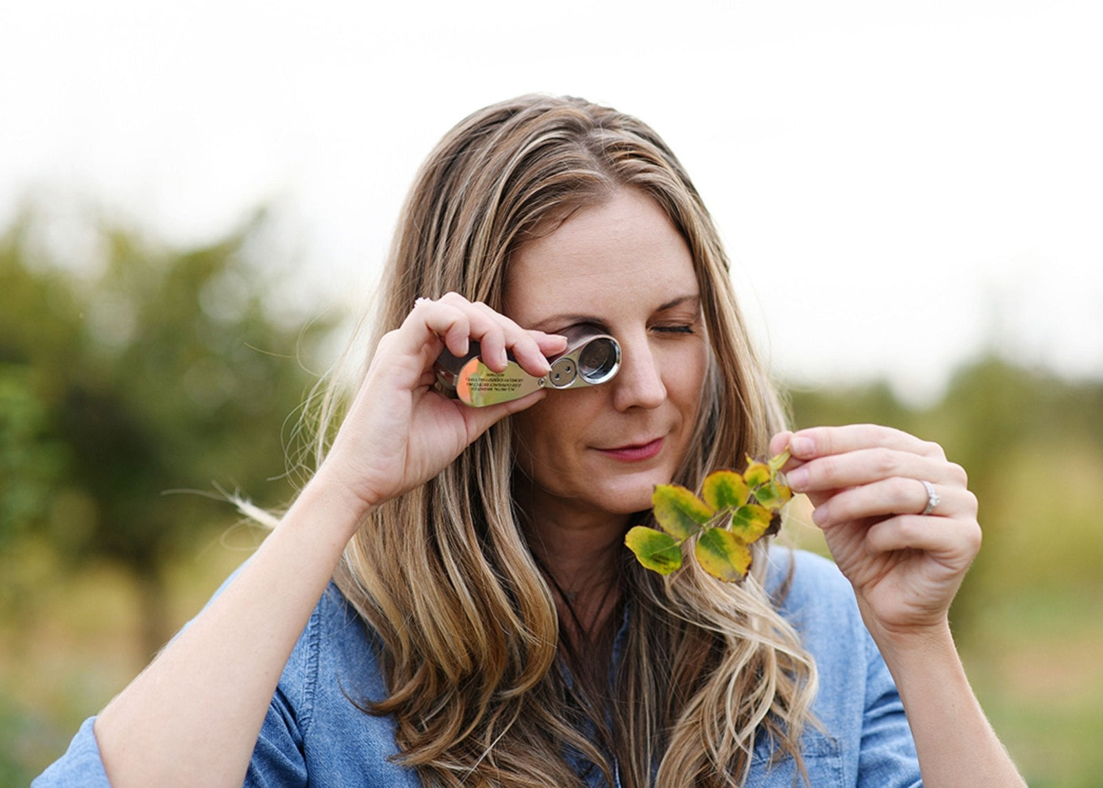 News Vol 28: How To Treat Insects In Roses - Menagerie Farm & Flower