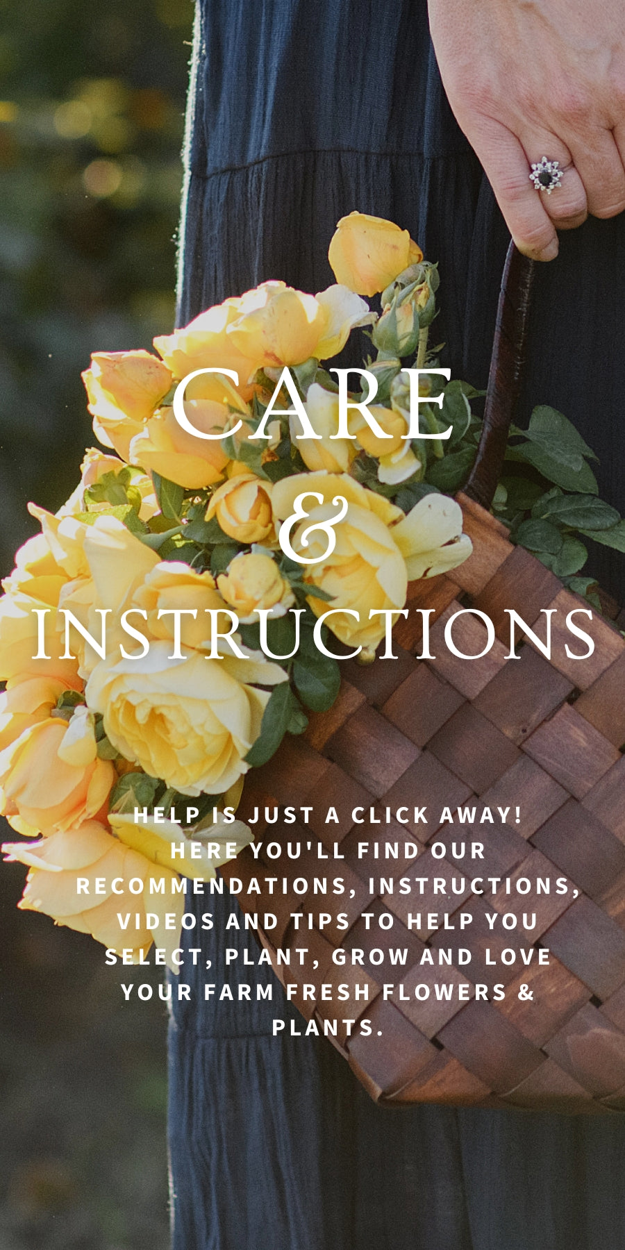 Care And Instructions