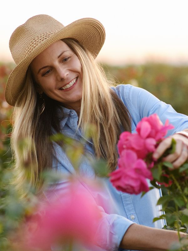 Moonstone Rose - Hybrid Tea - Lightly Fragrant – Heirloom Roses