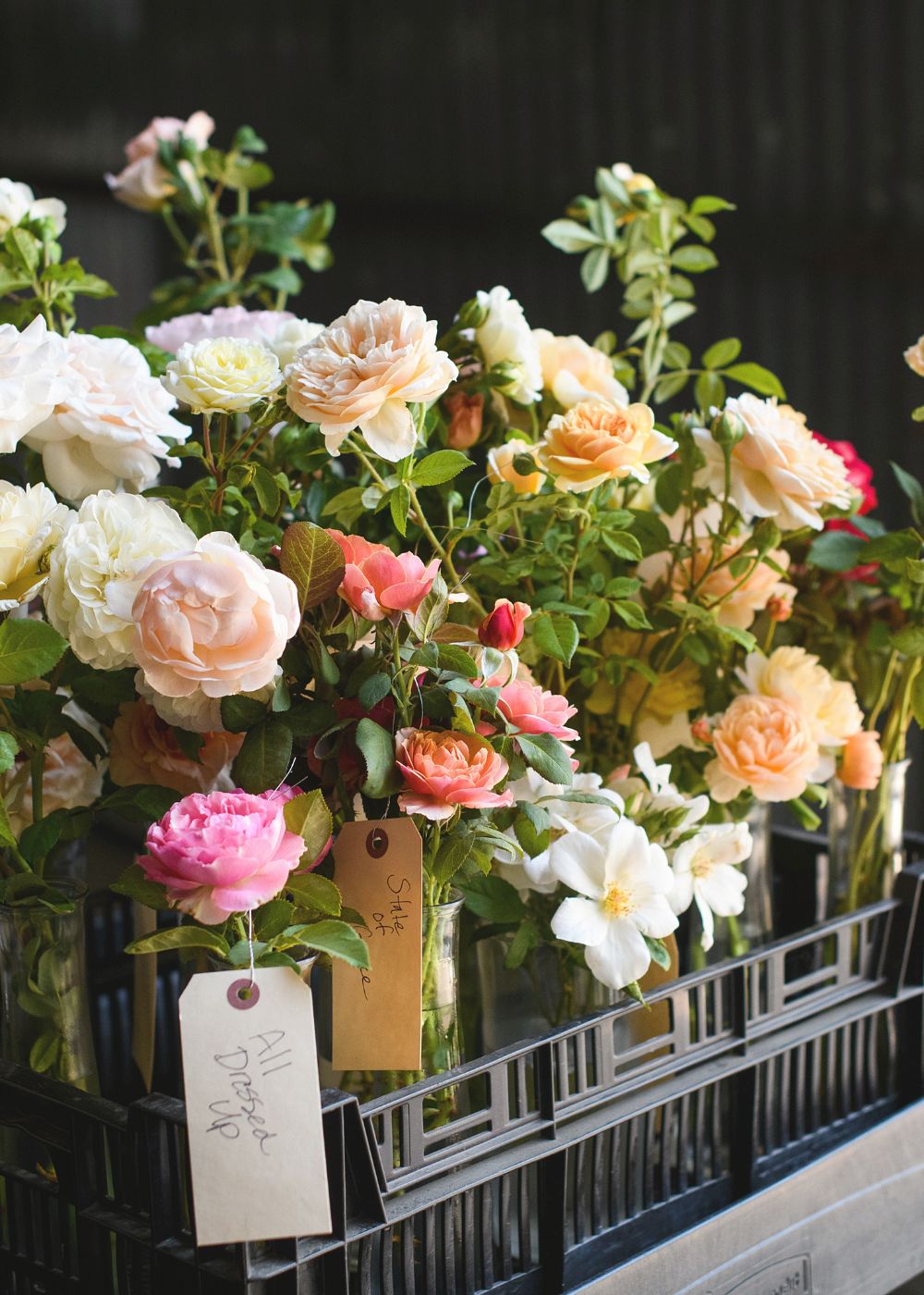 Bouquet Nursery Garden Roses - Menagerie Farm &amp; Flower