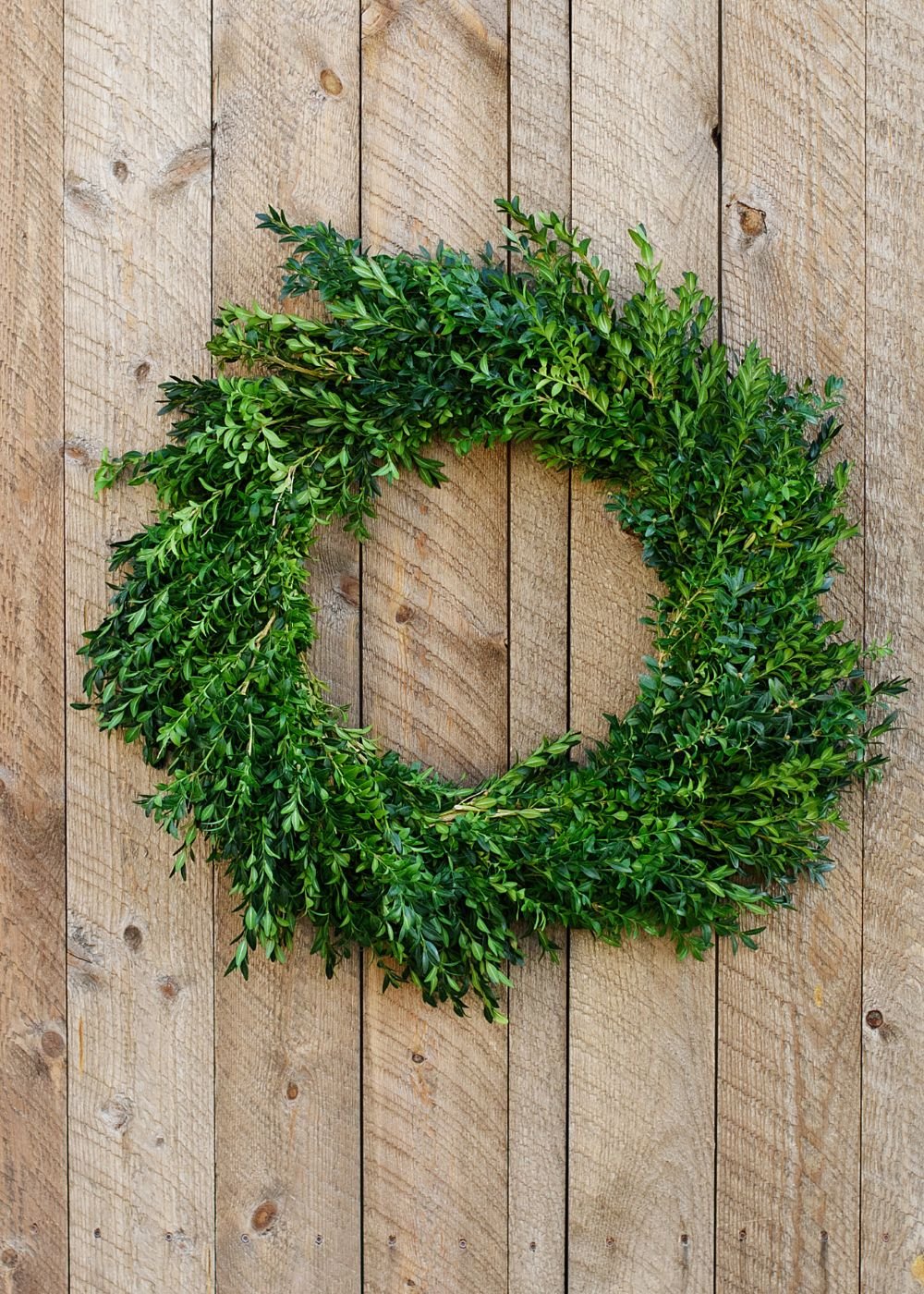 Classic Boxwood Holiday Wreath - Menagerie Farm & Flower