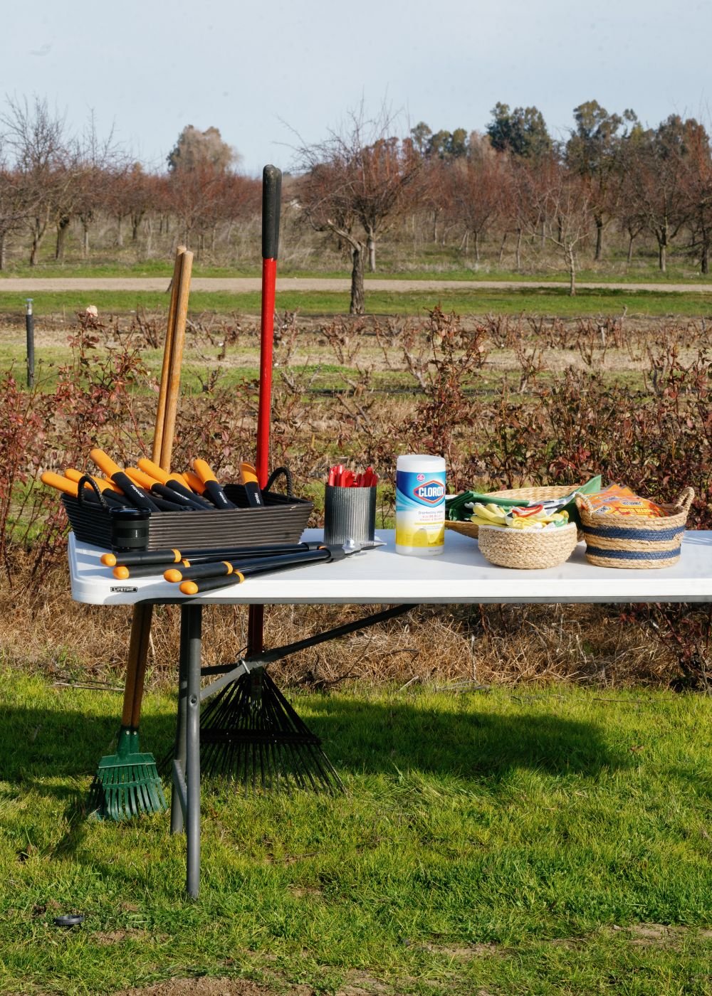 Dormant Rose Pruning Workshop: January 24, 2026 - Menagerie Farm &amp; Flower