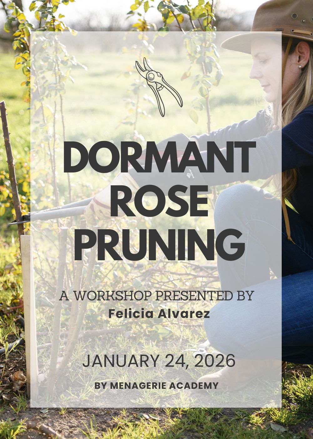 Dormant Rose Pruning Workshop: January 24, 2026 - Menagerie Farm &amp; Flower