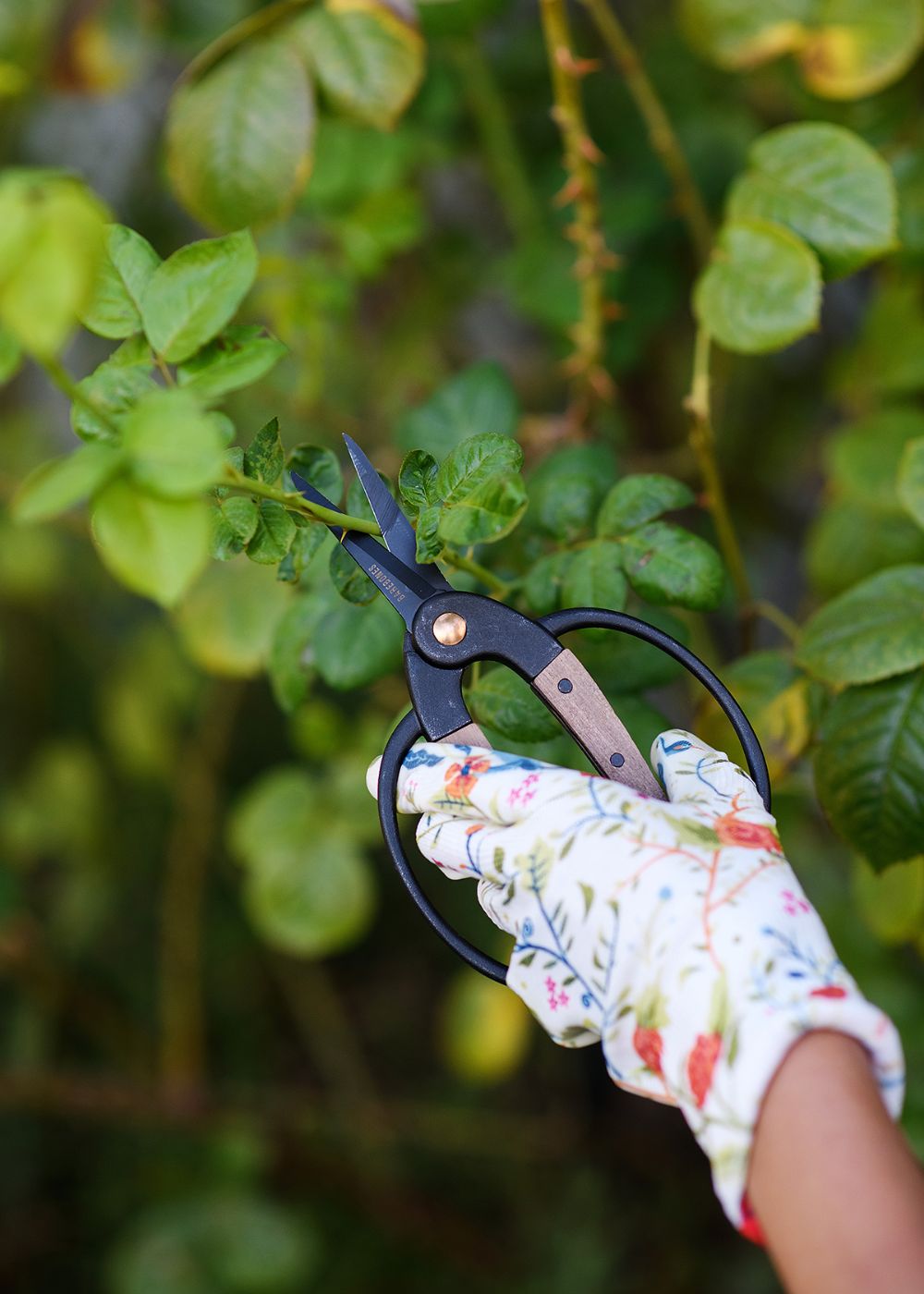 plant scissors garden Barebones Garden Harvest Scissors