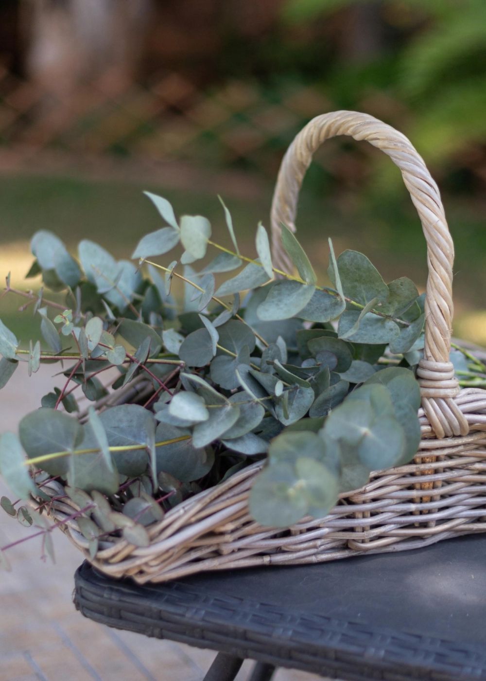 Garden Trug Basket - Menagerie Farm & Flower