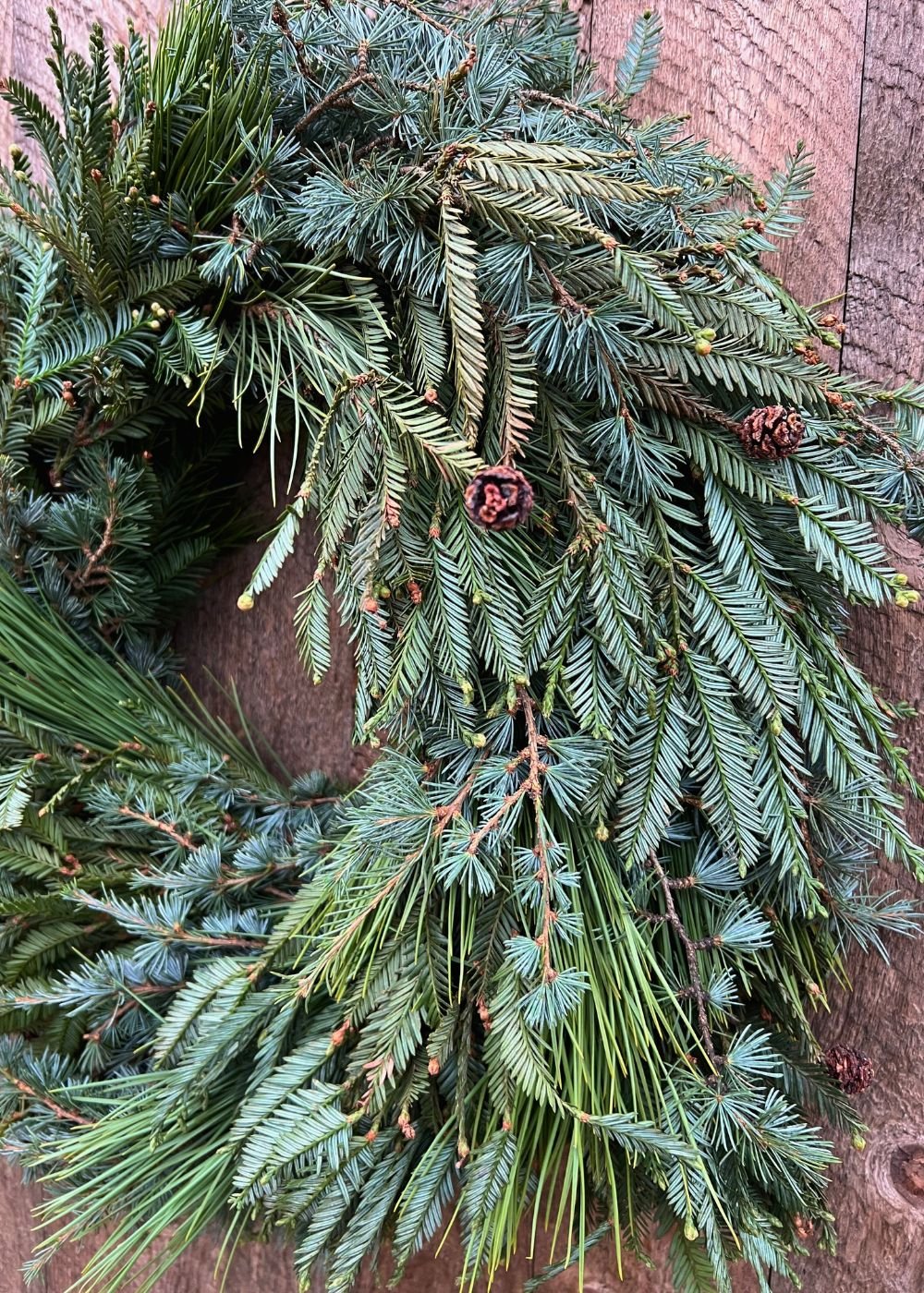 Heritage Greens Holiday Wreath - Menagerie Farm & Flower