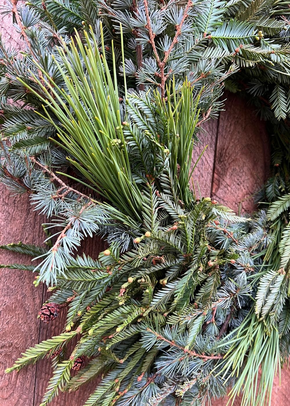 Heritage Greens Holiday Wreath - Menagerie Farm & Flower
