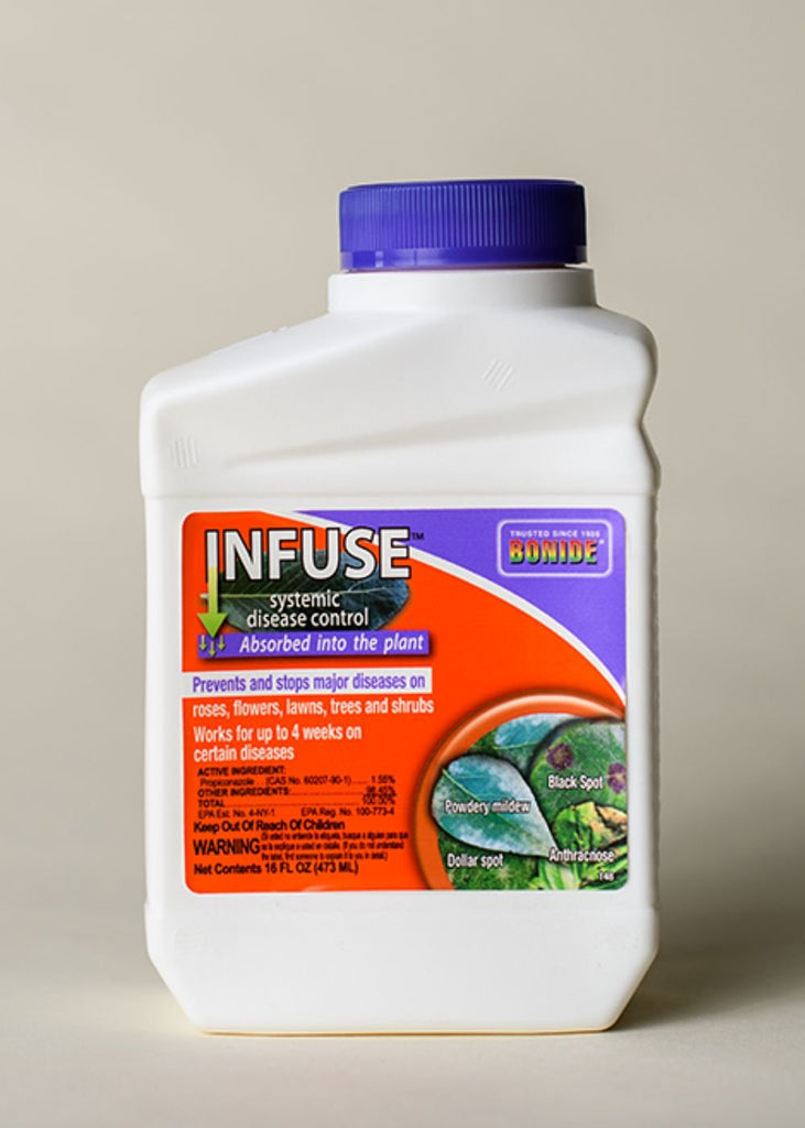 infuse herbicide Bonide Infuse Systemic Disease Control Pint