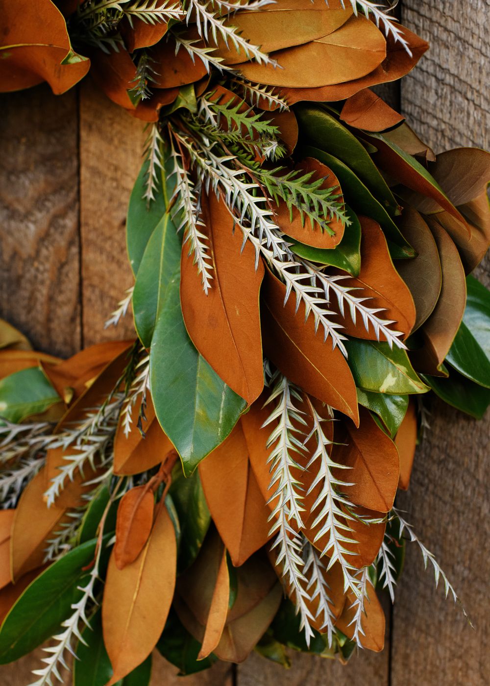 Menagerie Magnolia Holiday Wreath - Menagerie Farm & Flower