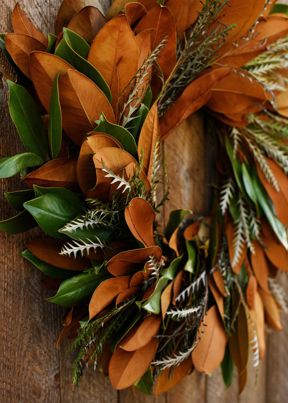 Menagerie Magnolia Holiday Wreath - Menagerie Farm & Flower