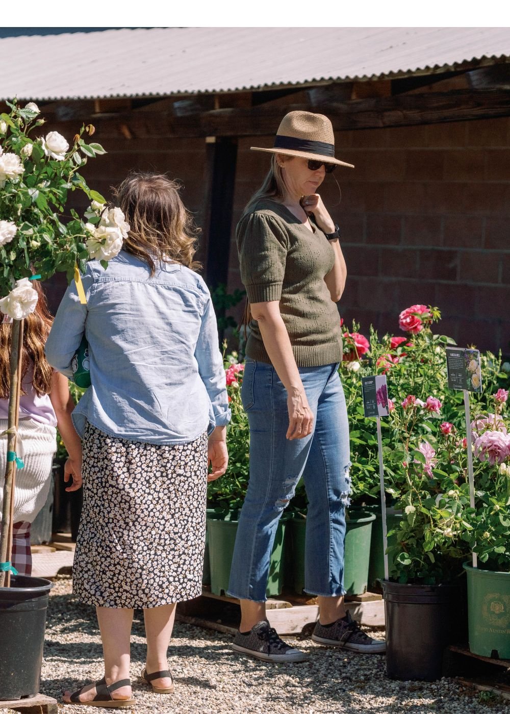 Nursery Day Open House: May 10, 2025 - Menagerie Farm &amp; Flower