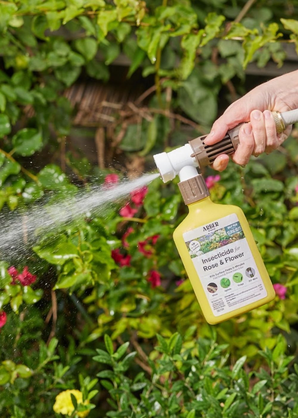 Organic Rose &amp; Flower Insecticide Spray - Menagerie Farm &amp; Flower