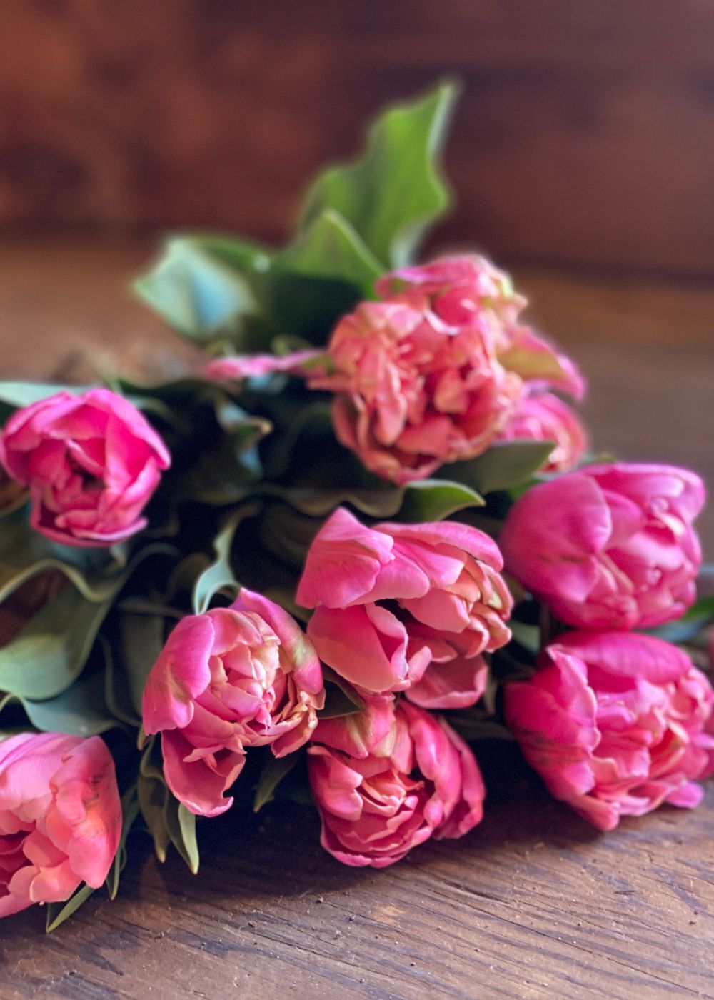 Pre - Cooled Sweet Pink Tulip Bulbs - Menagerie Farm &amp; Flower