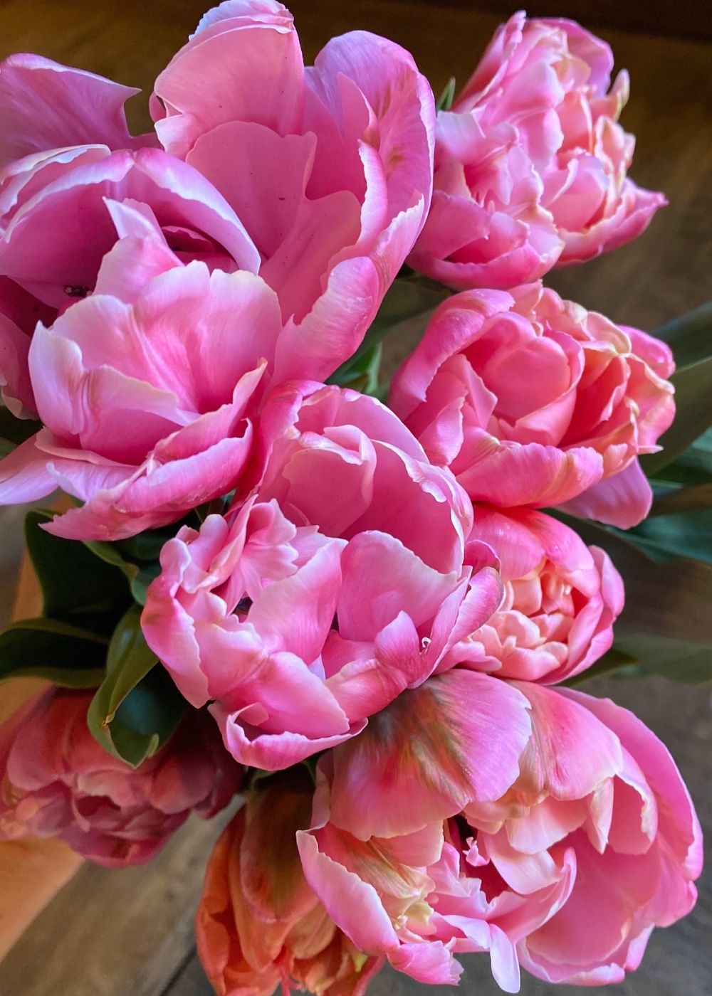 Pre - Cooled Sweet Pink Tulip Bulbs - Menagerie Farm & Flower