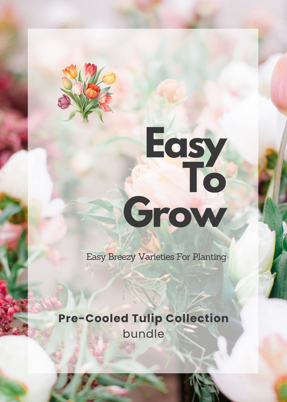 Pre - Cooled Tulip Bulbs Easy To Grow Collection - Menagerie Farm & Flower