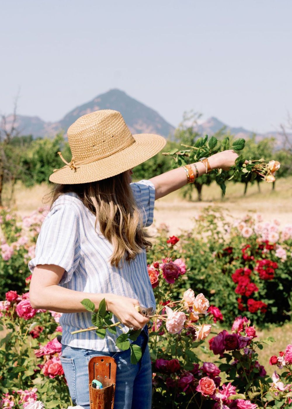 Spring Floral Centerpiece Workshop: May 16, 2026 - Menagerie Farm &amp; Flower