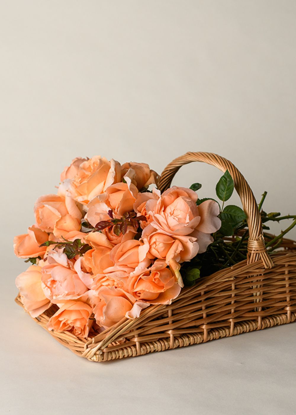 The Floral Garden Trug Harvest Basket - Menagerie Farm & Flower