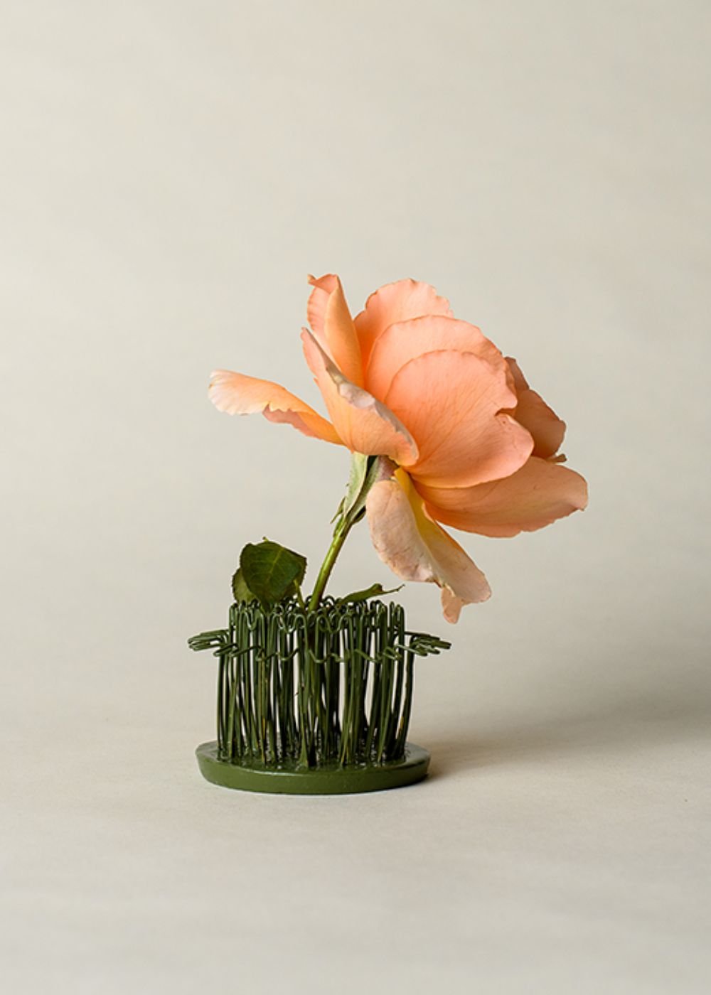 The Hairpin Flower Frog Holder - Menagerie Farm & Flower