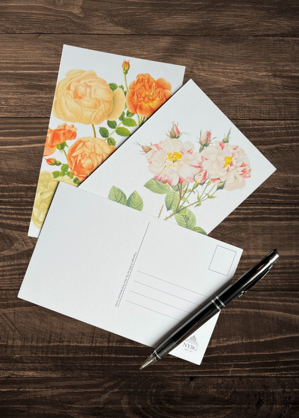 Vintage - Style Botanical Rose Postcard Prints (Set of 10) - Menagerie Farm & Flower