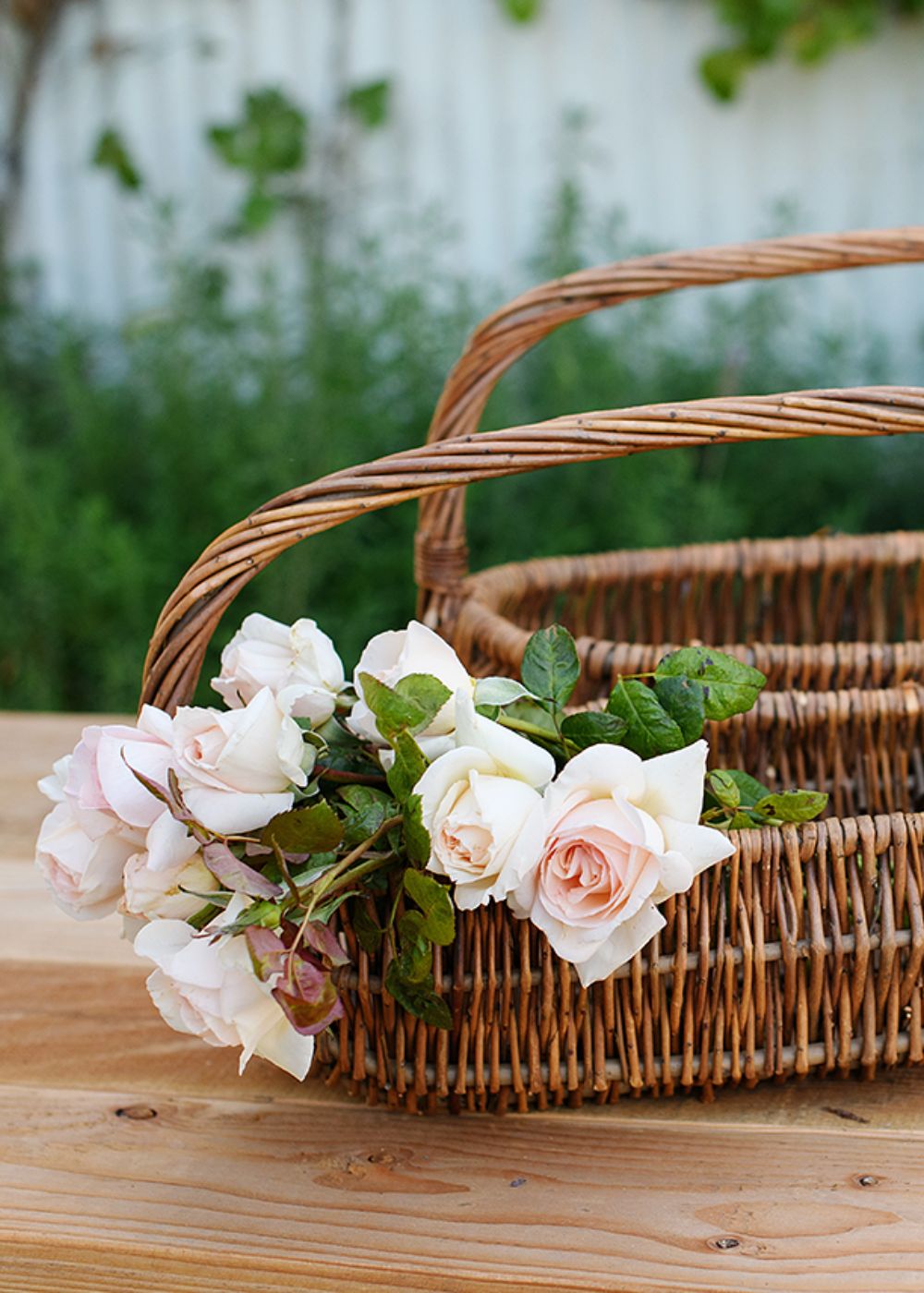 Wicker Garden Harvest Basket Oval - Menagerie Farm &amp; Flower