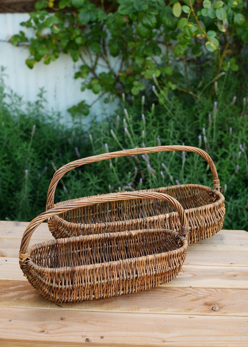 Wicker Garden Harvest Basket Oval - Menagerie Farm &amp; Flower