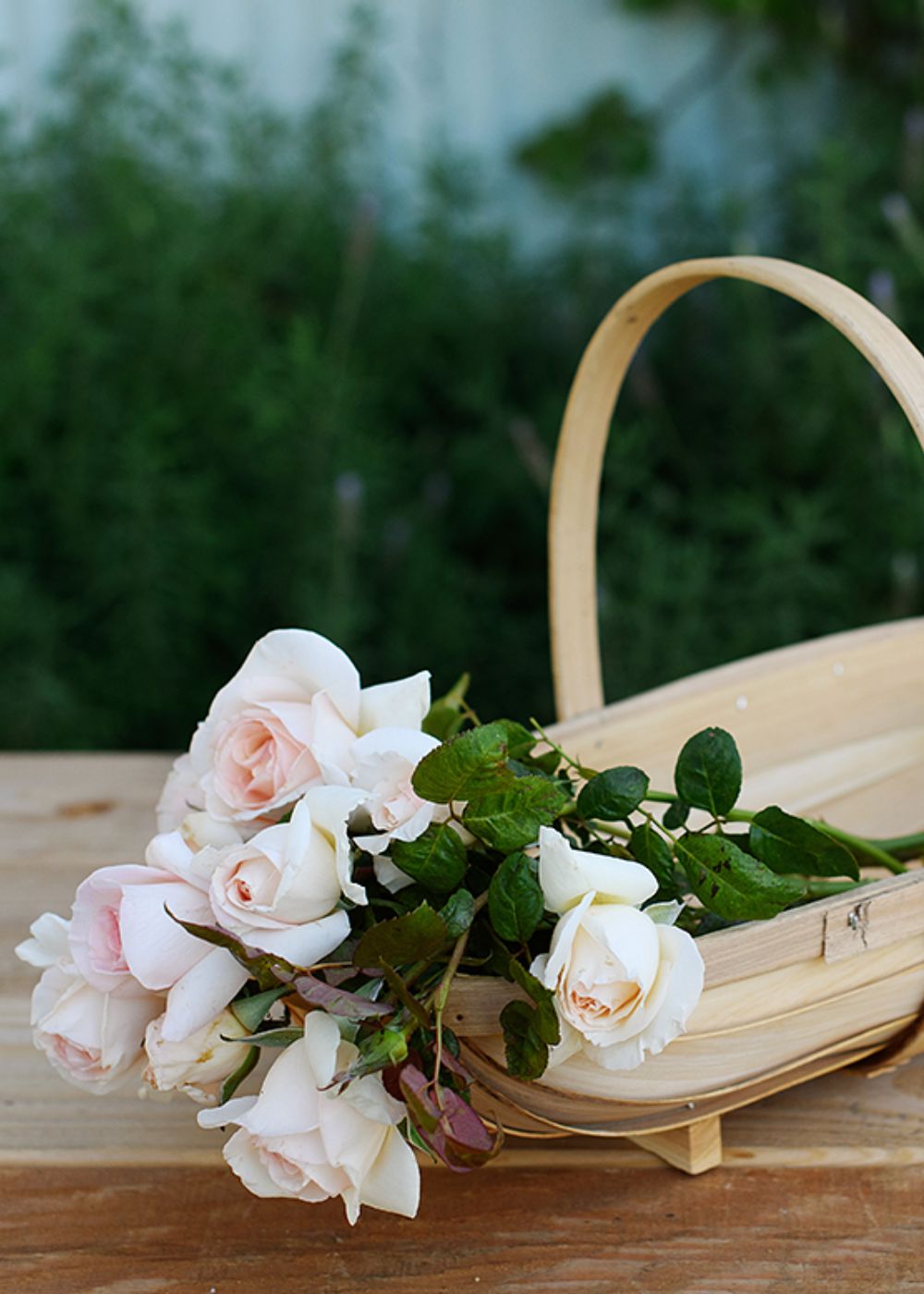 Willow Branch Garden Trug Basket - Menagerie Farm &amp; Flower