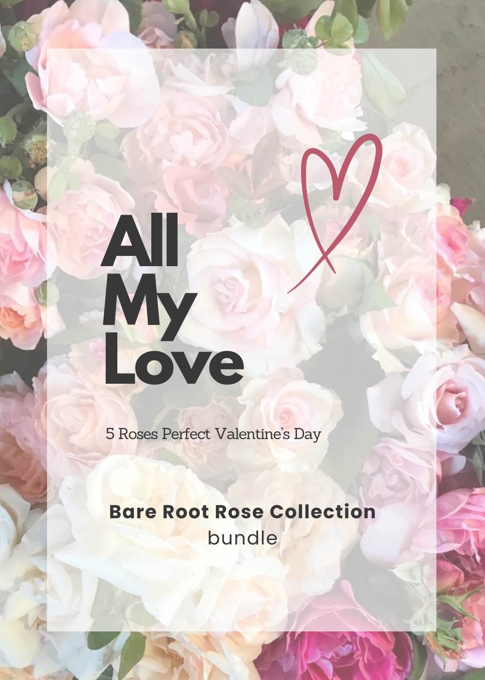 All My Love Bare Root Rose Collection - Menagerie Farm &amp; Flower