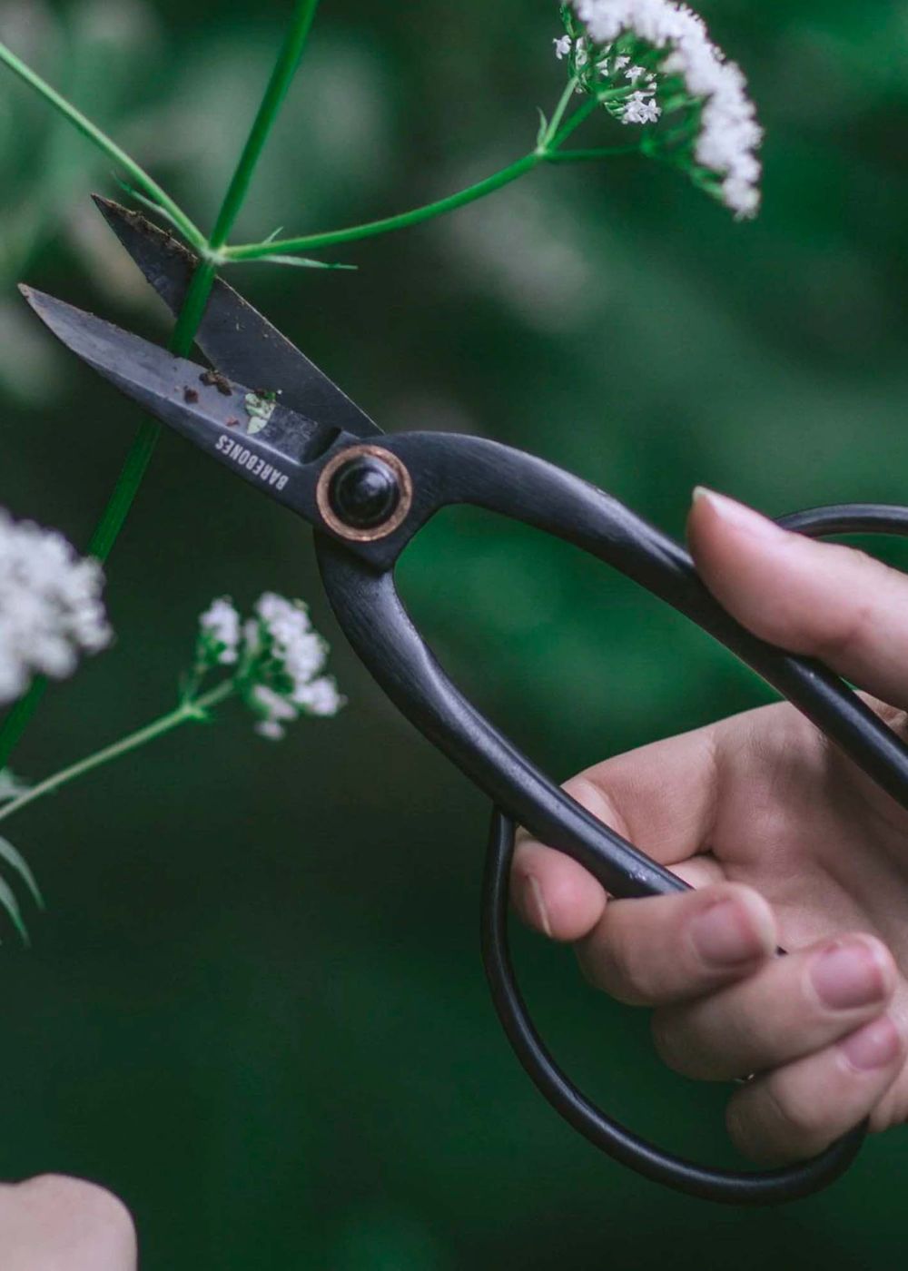 garden trimming scissors Barebones Artisan Pruning Shears