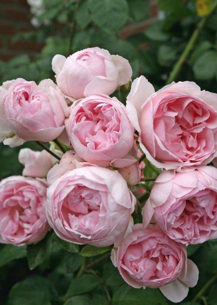 Miniature Fairy Bed with Roses | This little fairy bed sculp