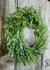 Classic Holiday Boxwood Wreath - Menagerie Farm & Flower