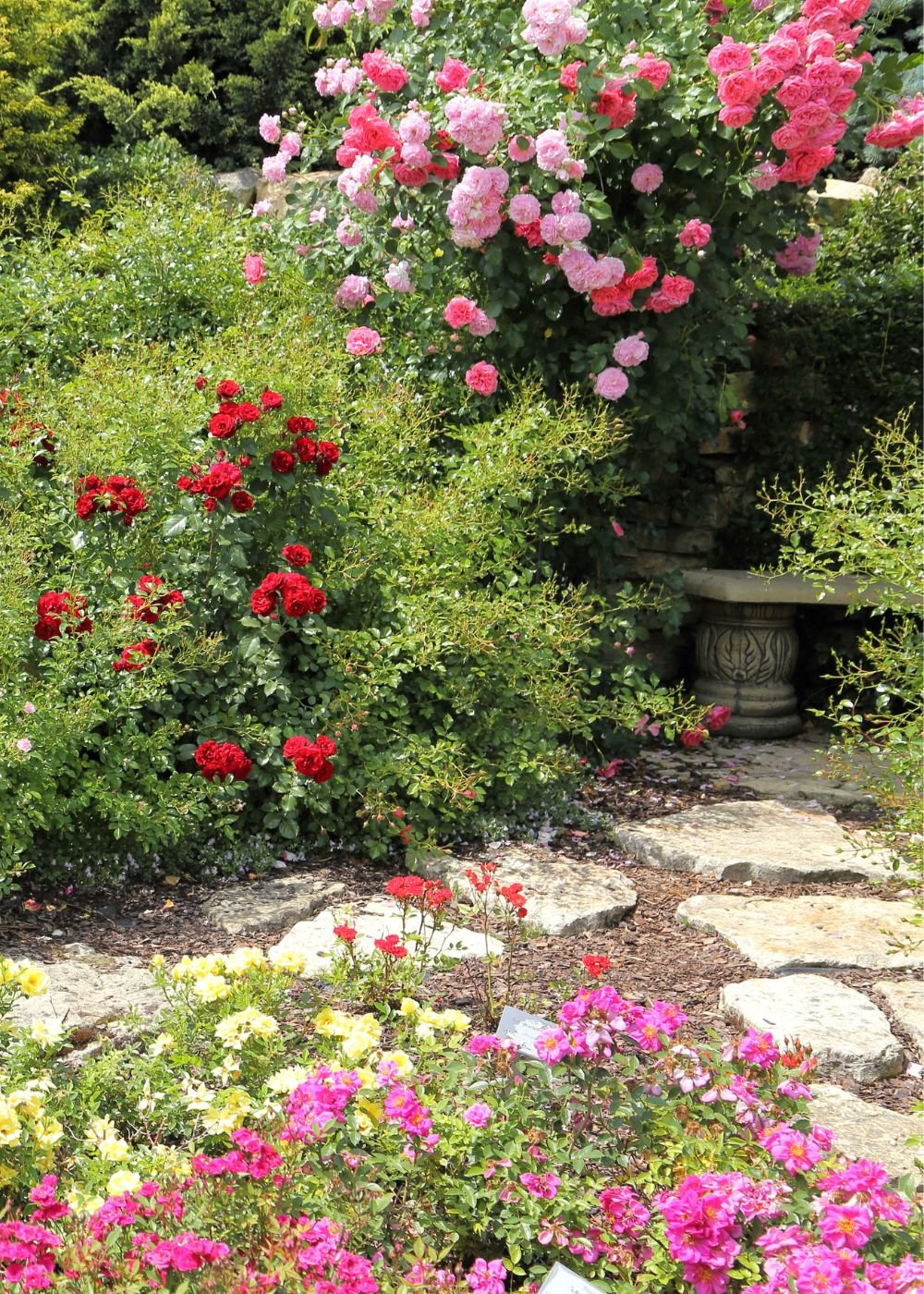 Designing A Garden With Roses A Workshop Featuring Shavonda Gardner | May 18, 2024 - Menagerie Farm &amp; Flower