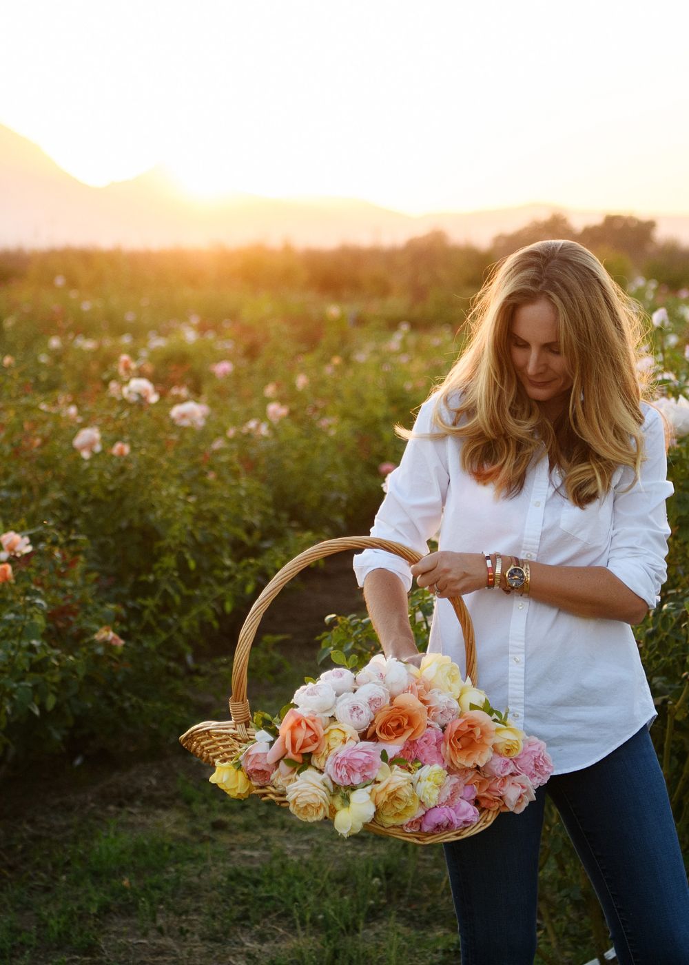 How To Harvest Cut Flowers: Harvesting Flowers From Cutting Gardens