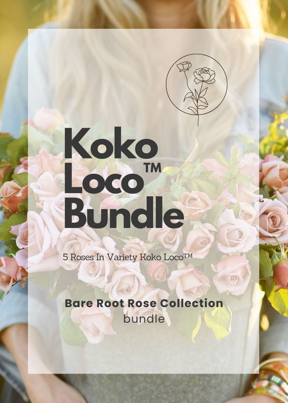 Koko Loco™️ Bare Root Rose Cooler Cleanout Bundle of 5 Roses - Menagerie Farm & Flower