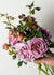 Koko Loco™ Rose Potted - Menagerie Farm & Flower