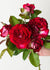 Love At First Sight™ Rose Bare Root - Menagerie Farm & Flower
