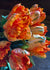 Pre-Cooled Monarch Parrot Tulip Bulbs - Menagerie Farm & Flower