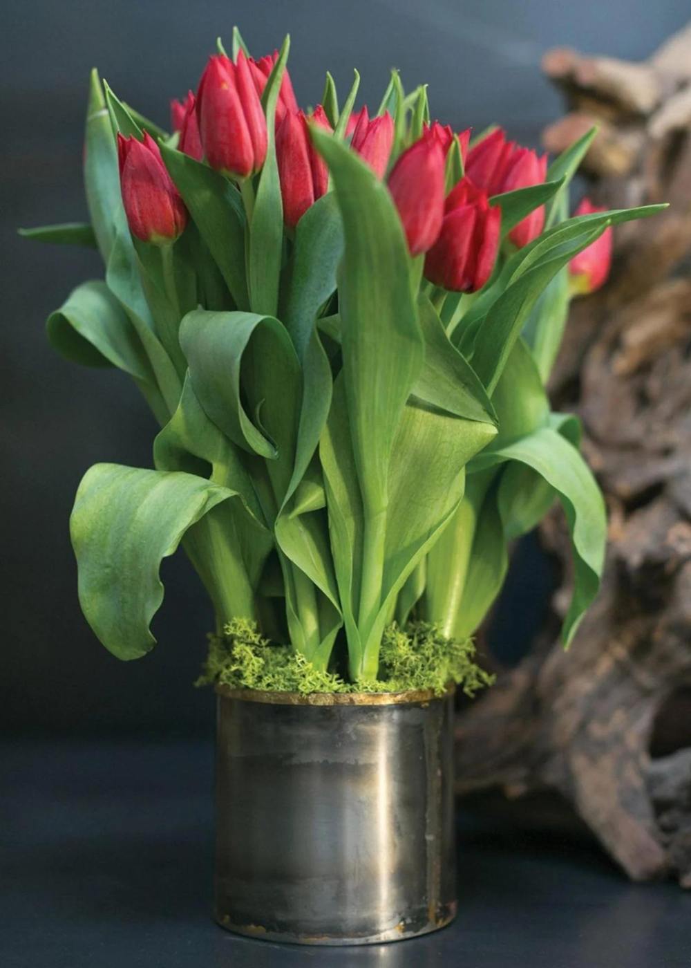 Norman Pewter Vase - Menagerie Farm &amp; Flower