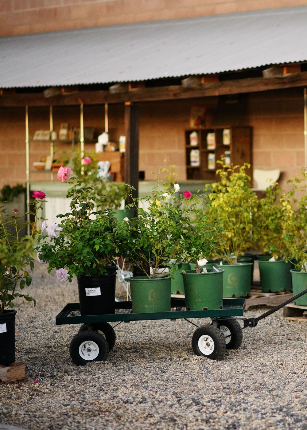 Nursery Day Open House | April 22, 2023 - Menagerie Farm &amp; Flower