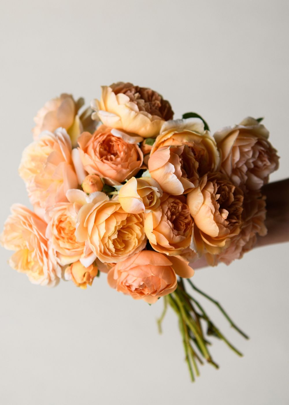 Peaches & Dreams Garden Rose Bouquet - Menagerie Farm & Flower